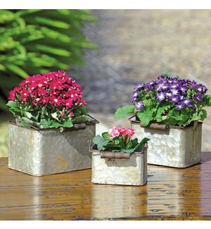 Rustic Square Planters with Handles Set of 3