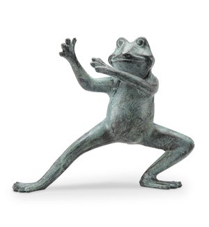 Flexing Tai Chi Frog