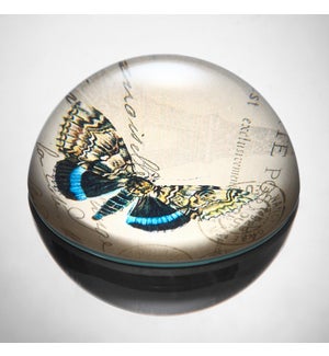 Art Glass Blue and Yellow Butterfly Paperweight