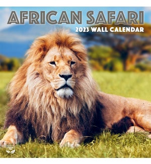 AFRICAN SAFARI 12X12 PHOTO WALL CALENDAR