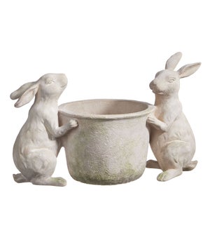 *DC* 15.5 Rabbits with Flower Pot