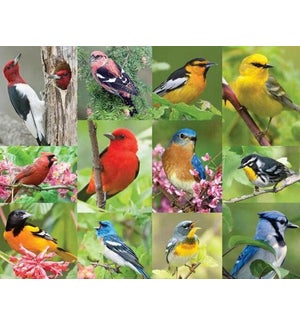 Birds of a Feather (36pc)