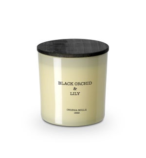 3 wick XL Candle 600 gm/21 oz Black Orchid & Lily Ivory