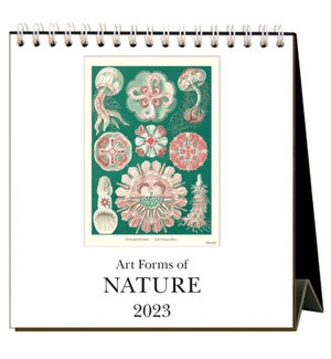 Art Forms of Nature 2023 Desk Calendar