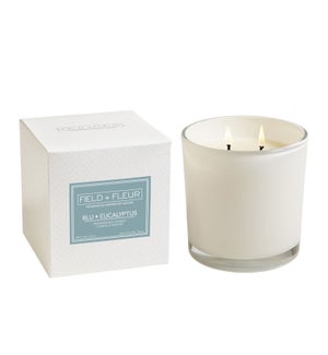 BLU EUCALYPTUS 2 WICK CANDLE IN WHITE GLASS 12oz. TESTER FREE W/3 CTNS. OR MORE CTN. 1
