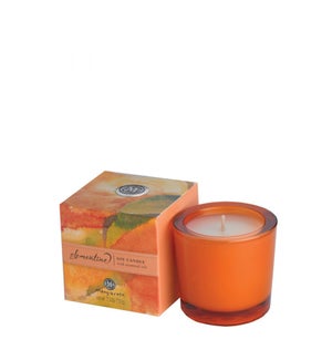 Clementine Soy Candle 2.5 oz