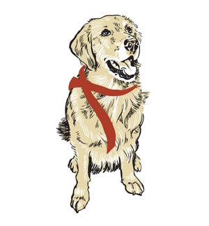 RAN-24 Golden Retriever with Red Ribbon Magnet
