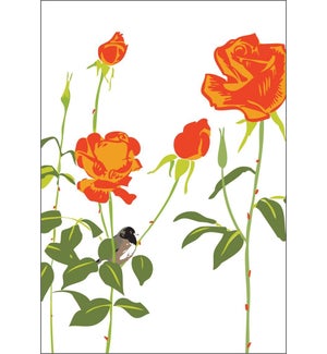RBI-03 Junco and Roses Print