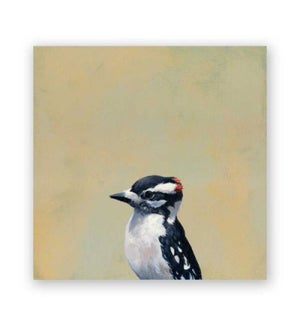 8 x 8 Panel - Downy Woodpecker