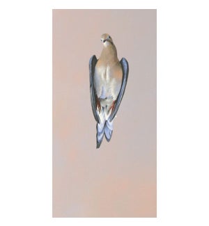 12 x 6 Panel - Mourning Dove