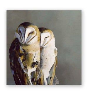 10 x 10 Panel - Barn Owl Pair