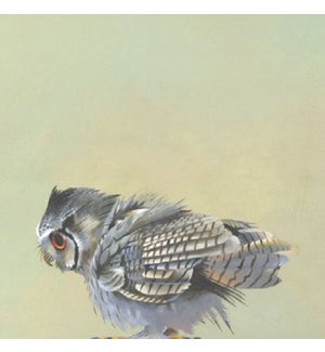 10 x 10 Panel - Scops Owl