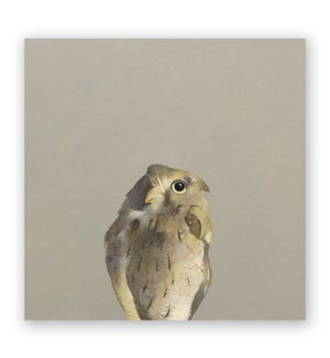 10 x 10 Panel - Screech Owl