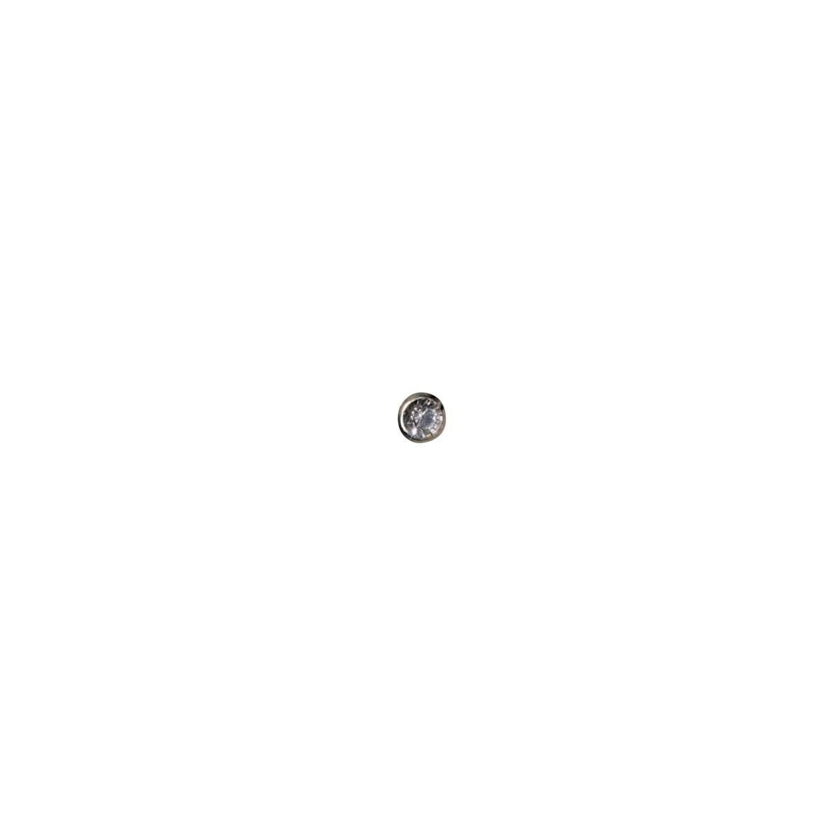 24K GP 4mm Cyrstal Titanium EARRING