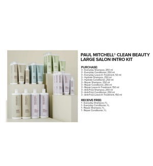 ! Clean Beauty Salon Intro Kit