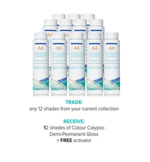! FREE CALYSPO Demi-Gloss Activator BUY 12 CALYPSO COLOR SALONS CHOICE