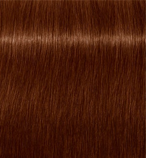 *  7-470 Absolute Igora Royal