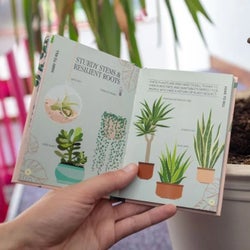 House Plant Survival Guide Set
