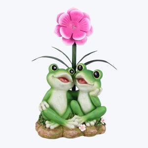 Frog Garden