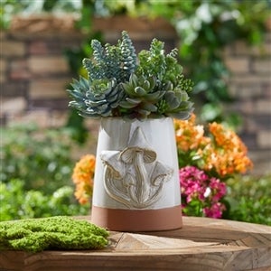Greens and Succulents