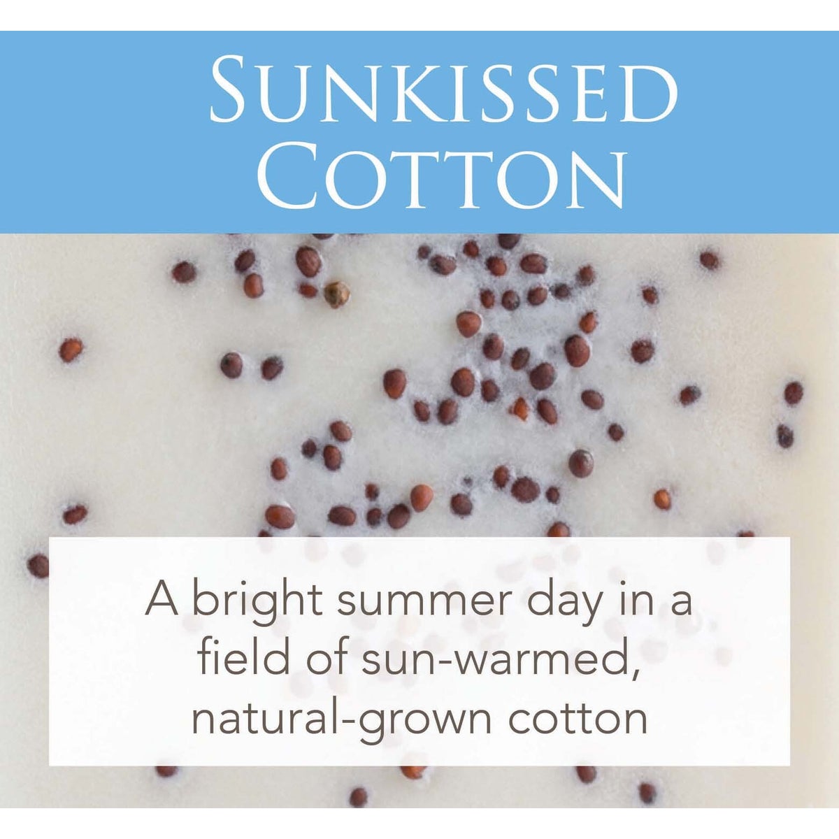 Artisan Wax Melts 2.5 oz - Sunkissed Cotton