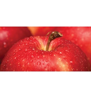 2.5 oz Wax Melt Macintosh Apple