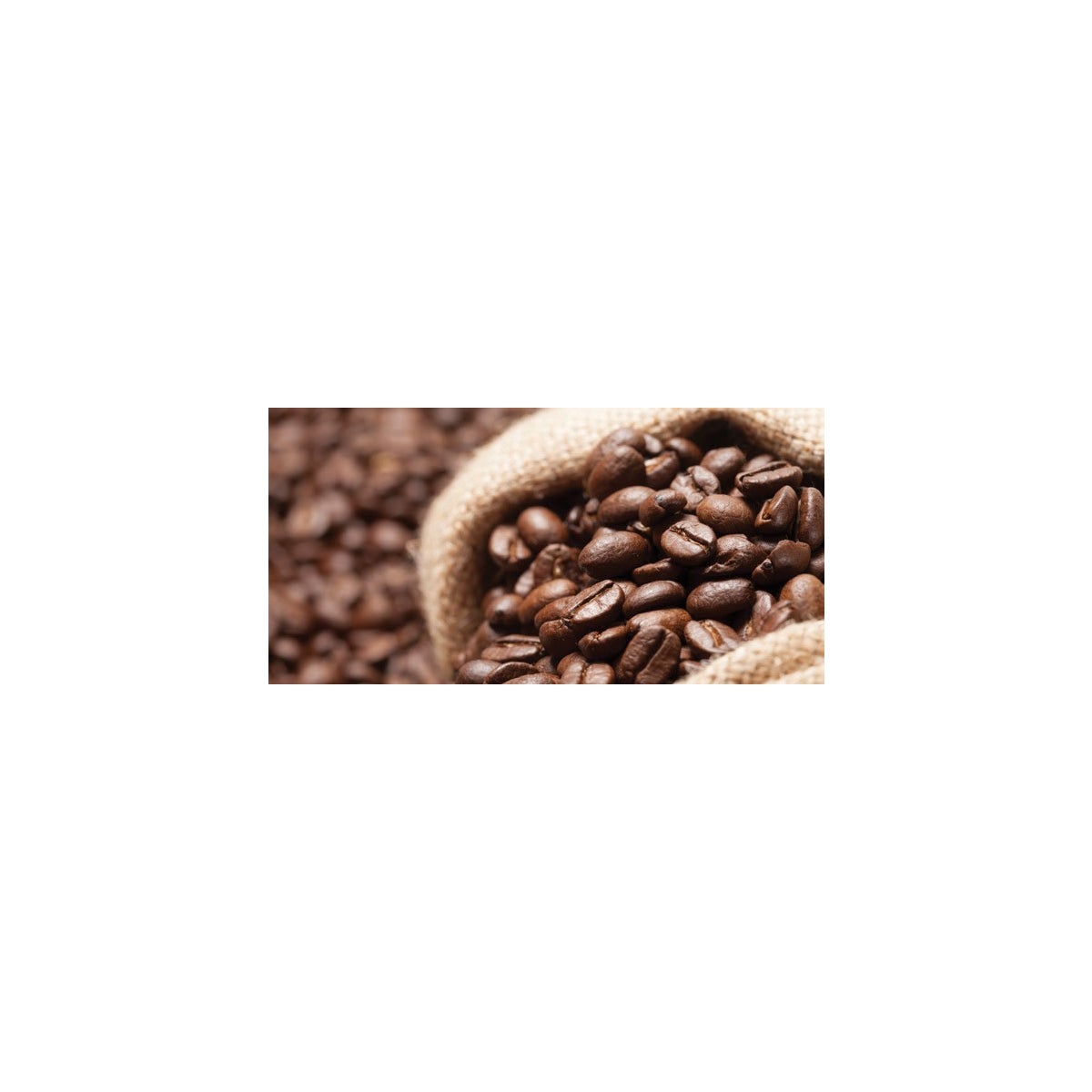 Classic Wax Melts 2.5 oz - Roasted Espresso