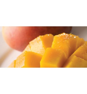 2.5 oz Wax Melt Summer Mango