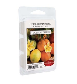 2.5 oz Odor Eliminating Wax Melts Tropical Citrus