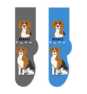 Beagle - 3 pairs each of 2 colours