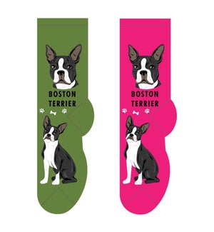 Boston Terrier - 3 pairs each of 2 colours