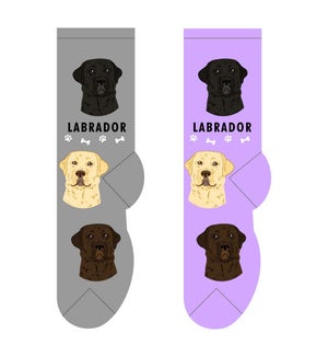 Labrador - 3 pairs each of 2 colours