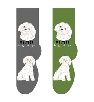 Maltese - 3 pairs each of 2 colours
