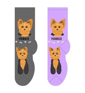 Yorkie - 3 pairs each of 2 colours