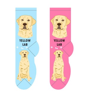 Yellow Lab - 3 pairs each of 2 colours