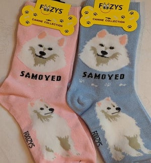 Samoyed