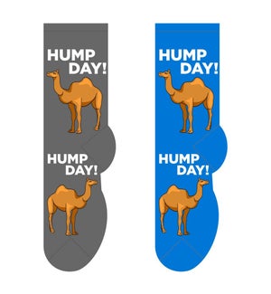 Hump Day - 3 pairs each of 2 colours