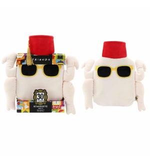 Warner Friends 30 Years - Hot Water Bottle