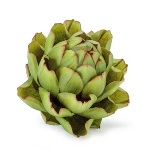 Artichoke