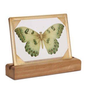 Butterfly Decor