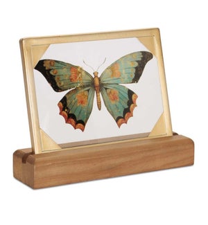 Butterfly Decor