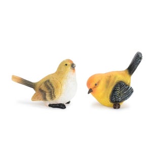 Bird (2 Asst)
