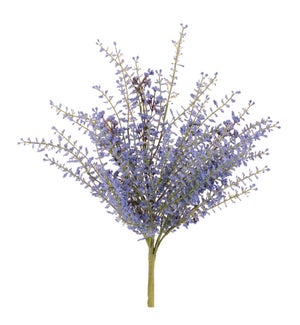 Lavender Bush