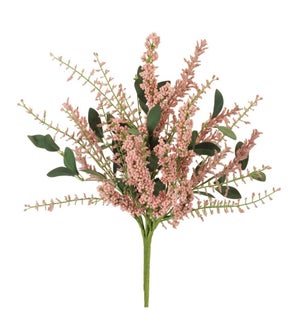 Lavender Bush