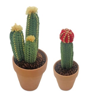 Cactus in Pot (Set of 2)