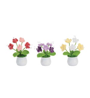 Floral in Pot (3 Asst)