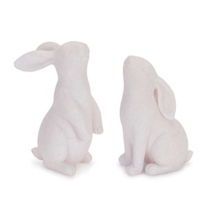 Bunny (2 Asst)