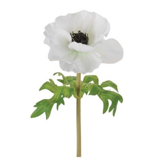 Anemone Stem