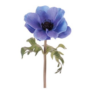 Anemone Stem