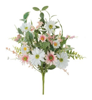 Mixed Daisy Bush